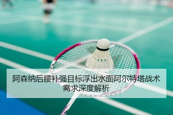 阿森纳后腰补强目标浮出水面阿尔特塔战术需求深度解析